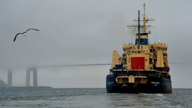 В Минприроды заявили о зависимости части экономики России от погоды