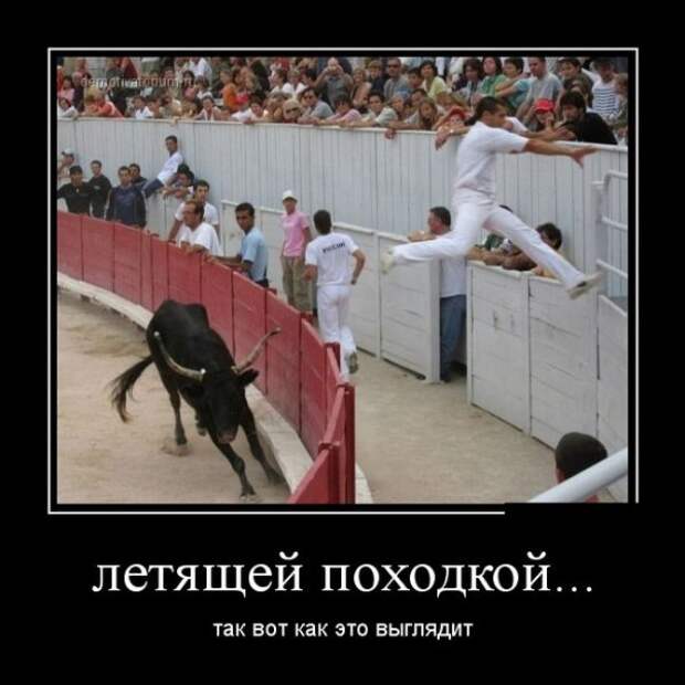 Обо всём.