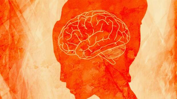 what is consciousness