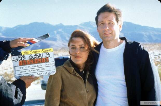 15 интересных фактов о сериале «Секретные материалы» Дэвид Духовны, кино, секретные материалы, сериал, фильм