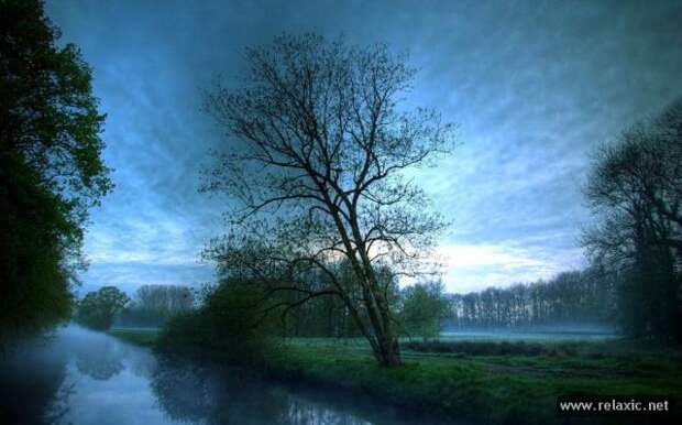nature_020