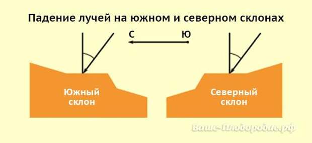 Карта экспозиции склонов