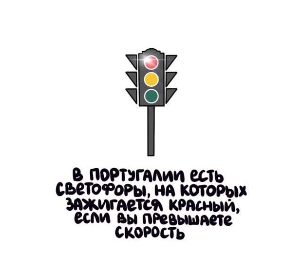 Короткие интересные факты на все случаи жизни