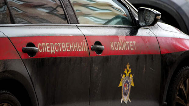 Похищенную в Смоленске девочку вернули матери