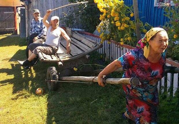 Настоящие деревенские приколы