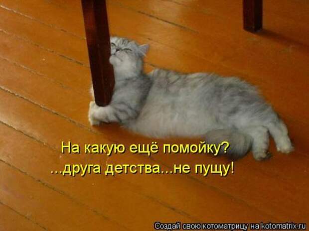 Котоматрицы(картинки с надписями)