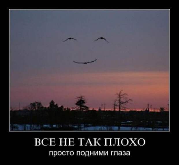 Немотивированные демотиваторы.