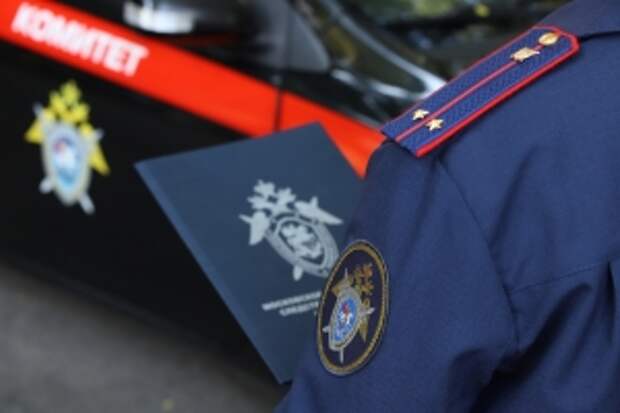 В центральный аппарат ведомства будет представлен доклад о расследовании обстоятельств травмирования подростка в Челябинске