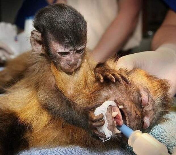 Коллекция эмоциональных снимков. Часть 14 (48 фото) Коллекция эмоциональных снимков. Часть 14 (48 фото)