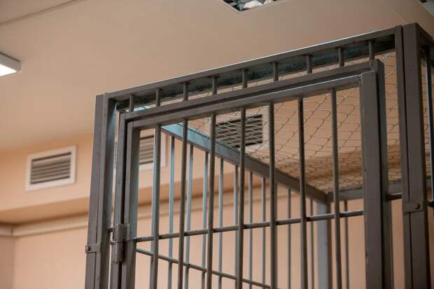 Мать и сын из Веневского района отправятся в колонию за продажу наркотиков