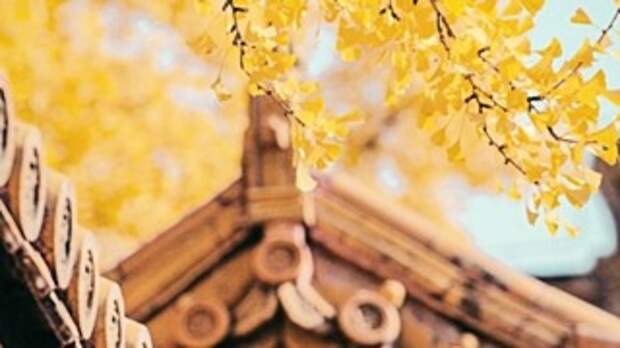 Фото: pexels.com