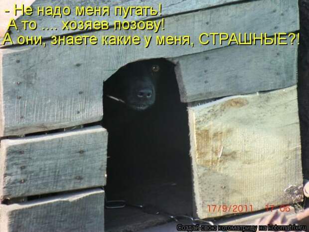 Лучшие котоматрицы недели Лучшие котоматрицы недели