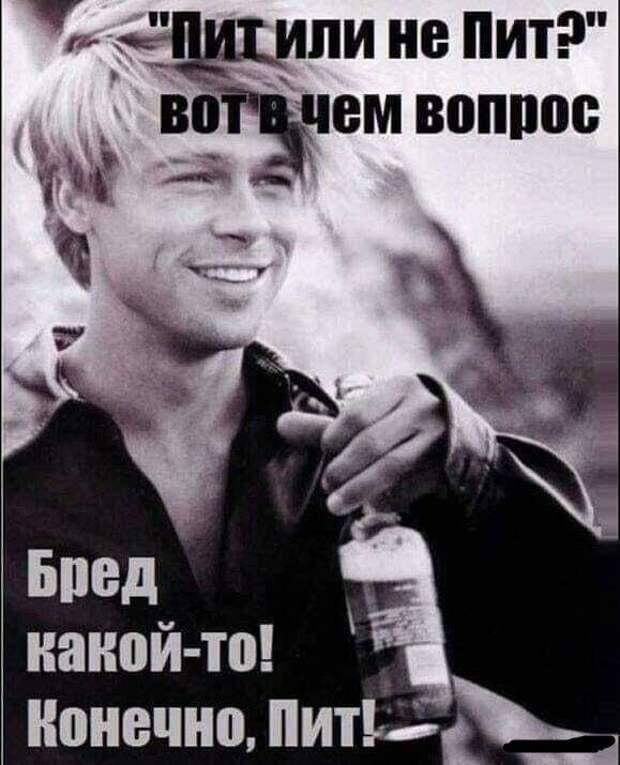 Пит или не пит Пит или не пит