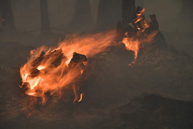 Неизвестные подожгли свалку с горбылем возле леса и жилых домов в Свердловской области