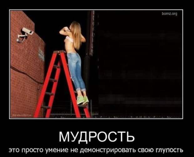 Демотиваторы со смыслом свежачок (16 фото)