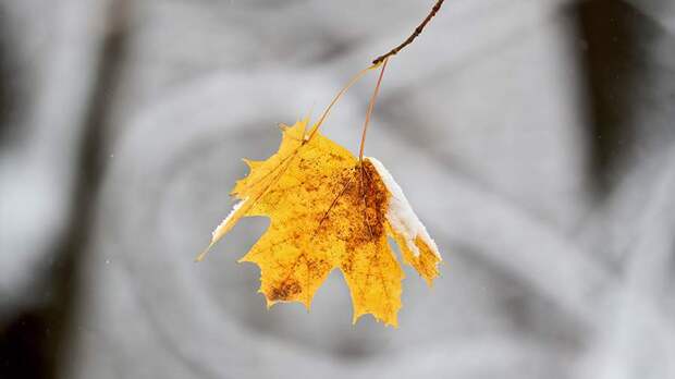 Синоптик рассказал о первых 20-градусных морозах в европейской части России