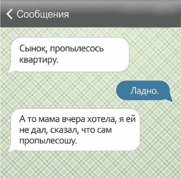 https://cdn.umbrella.green/wp-content/uploads/2016/12/12-58.jpg
