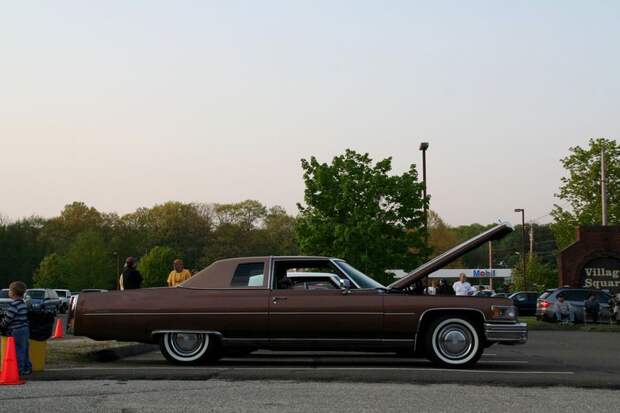 День коллекционеров в США (71 фото) День коллекционеров в США (71 фото)