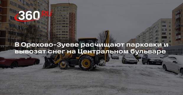 Бригада коммунальщиков из Орехово-Зуева возьмется за лопаты на Центральном бульваре