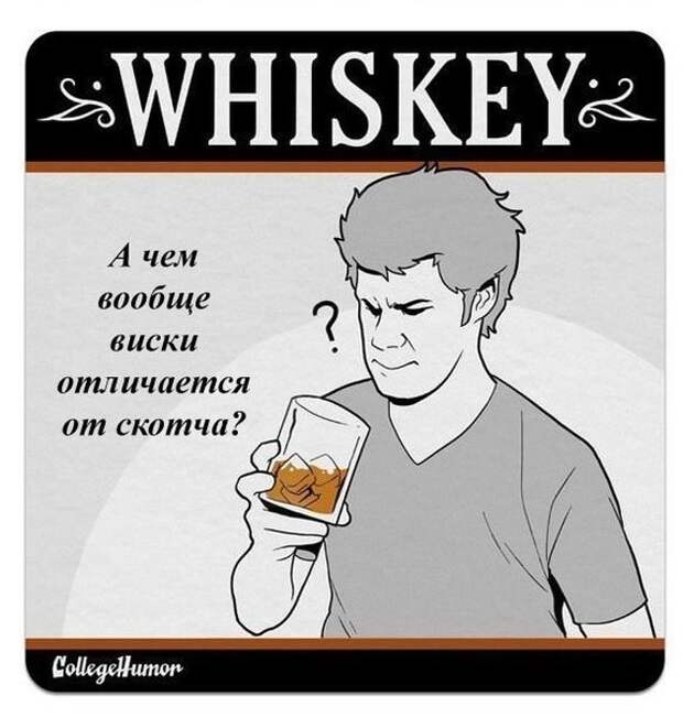 Кто, как, что и почему пьет.