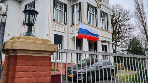 Посла Нидерландов вызвали в МИД из-за акции у российской дипмиссии в Гааге