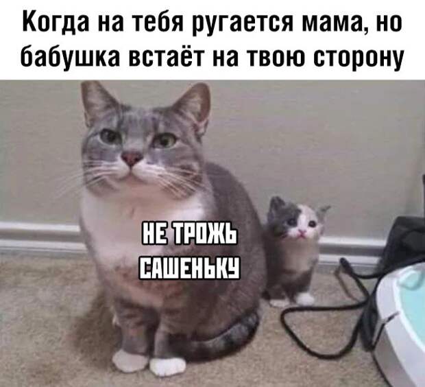 Саша,32 годика Саша,32 годика
