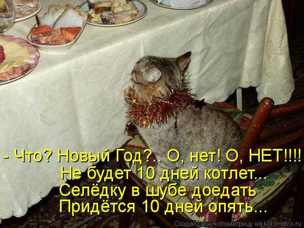 Котоматрица - - Что? Новый Год?.. О, нет! О, НЕТ!!!! Не будет 10 дней котлет... Селё