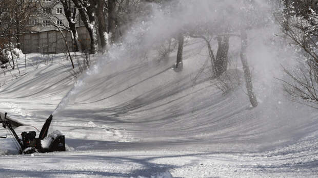 Дама с ковшом: в Москве женщина угнала снегоуборочную машину