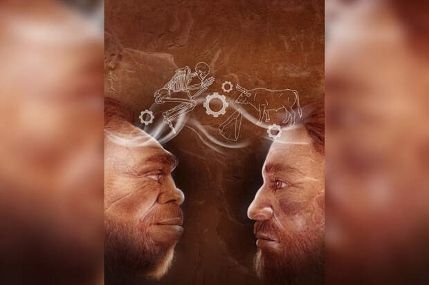 PNAS: разница в объеме мозга неандертальцев и современных людей мала