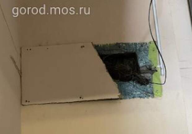 На Ферганской улице крышку для электрошкафа искали несколько месяцев
