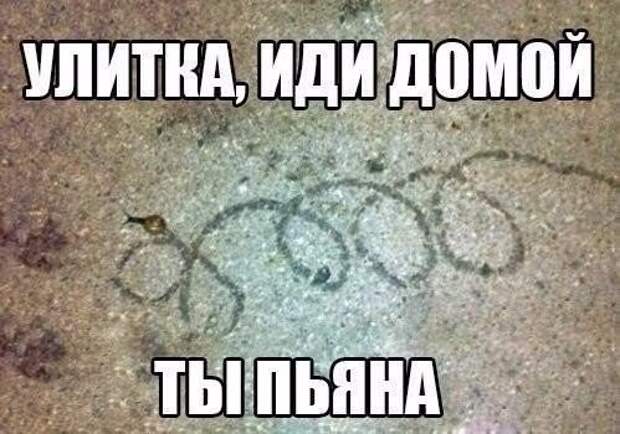 Пробка - это дураки и дороги в одном месте