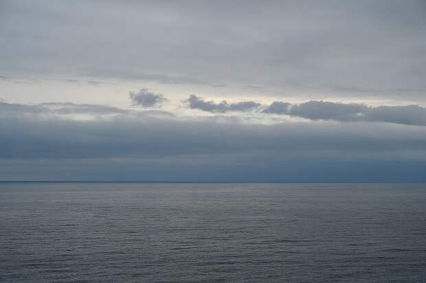 Ученый из Крыма рассказал об исследовании морских обитателей у берегов Антарктиды