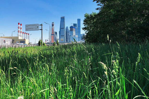 Фото и гифки непарадной Москвы