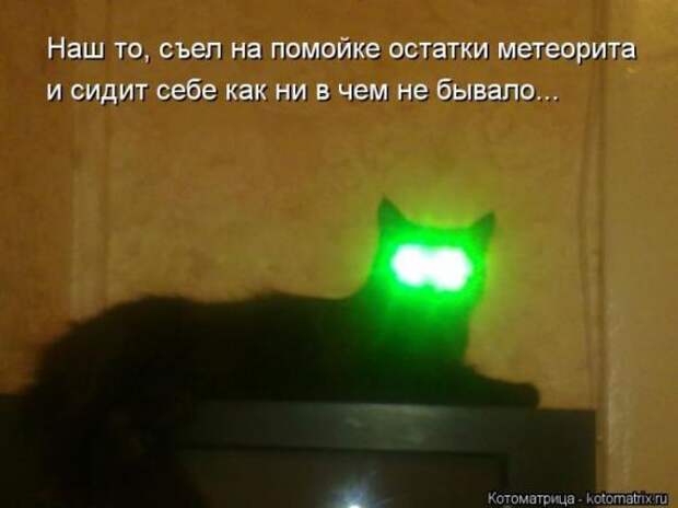 Котоматрицы(картинки с надписями)