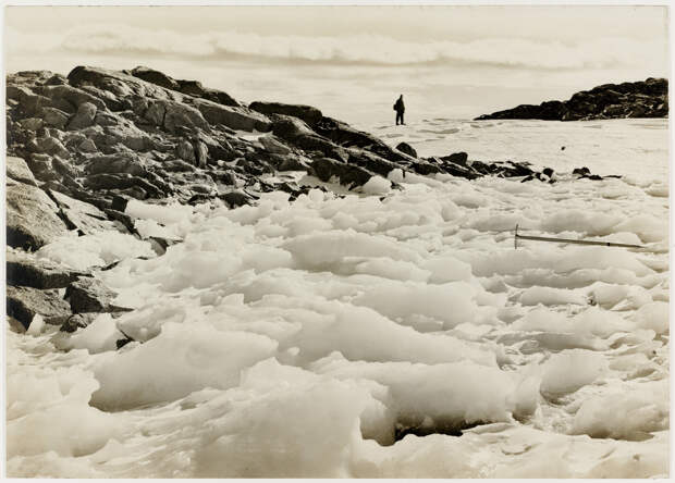 Первая Австралийская антарктическая экспедиция в фотографиях Фрэнка Хёрли 1911-1914 2