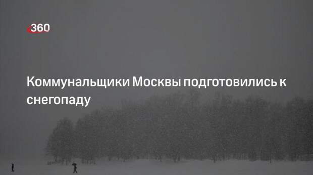 Глава ГБУ Автомобильные дороги Александр Орешкин: Москва готова к снегопаду