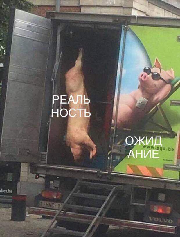 Ожидание vs Реальность Ожидание vs Реальность