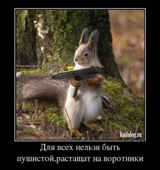Демотиваторы. Подборка chert-poberi-dem-chert-poberi-dem-05030919052020-16 картинка chert-poberi-dem-05030919052020-16