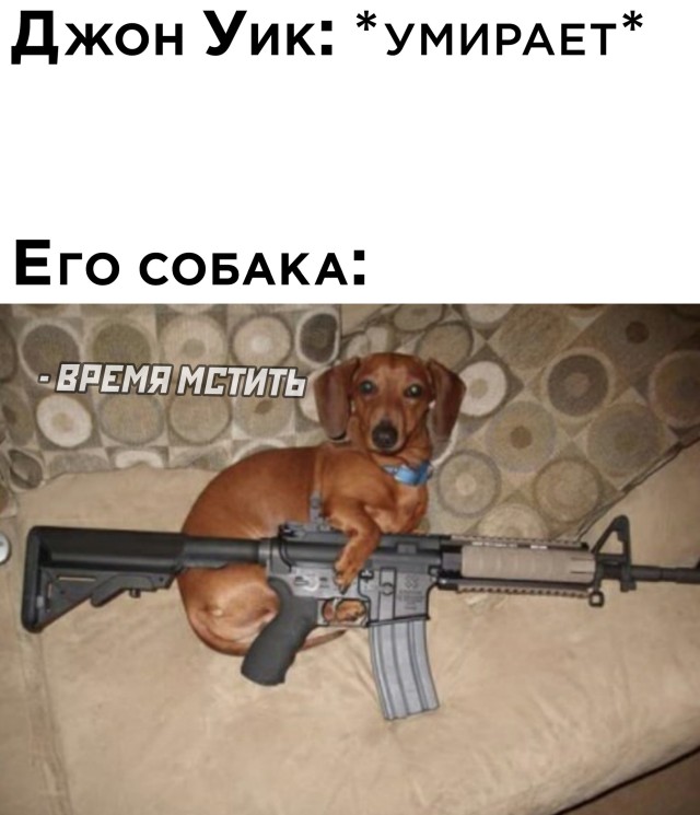 Смешные картинки 17 марта 2021 года