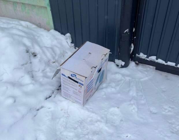 Очередного котика в коробке подкинули к дверям приюта «Сострадание»