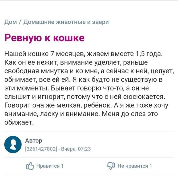 Чувство ревности у представительниц слабого пола в крови Чувство ревности у представительниц слабого пола в крови