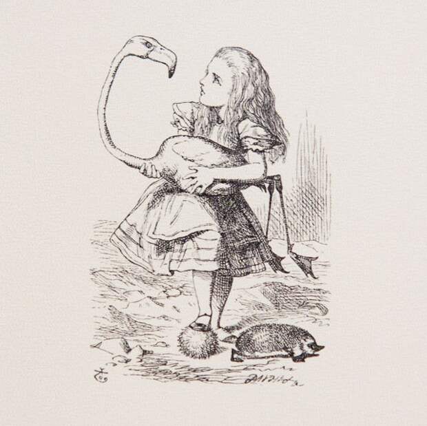 Он изогнет шею и поглядит ей прямо в глаза...