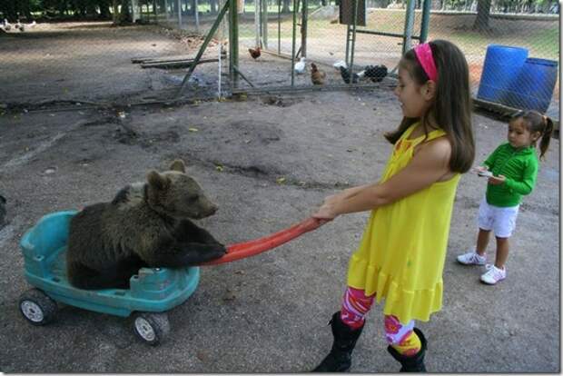 extreme-zoo_23_(funnypagenet.com)