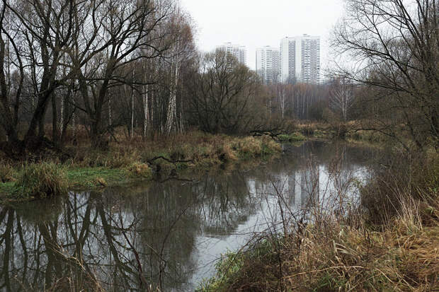 Фото и гифки непарадной Москвы