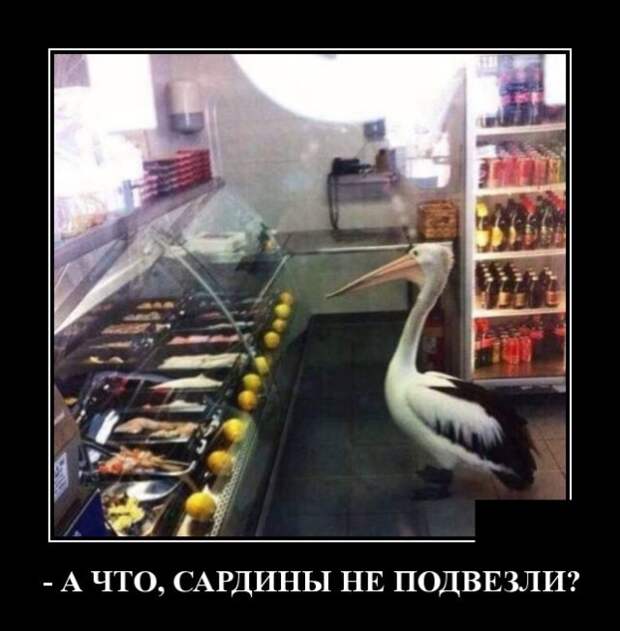 Демотиваторы (30 фото)