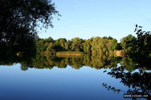 nature_024