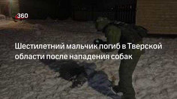 СК завел дело после гибели ребенка в Тверской области, на которого напали собаки