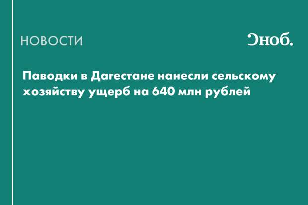 Паводки в Дагестане нанесли сельскому хозяйству ущерб на 640 млн рублей