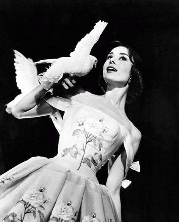 Одри Хепберн и птицы: голубь / Audrey Hepburn and birds: pigeon. Photo 