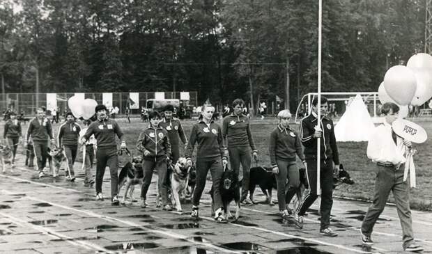 ДОСААФ СССР патриотизм, родина, россия